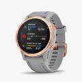Fenix 6S - Rose Gold With Powder Gray Band - 6