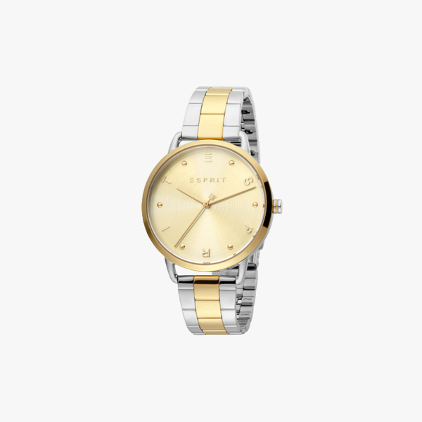 Silver Gold ESPRIT FUN ES1L173M0095 watch