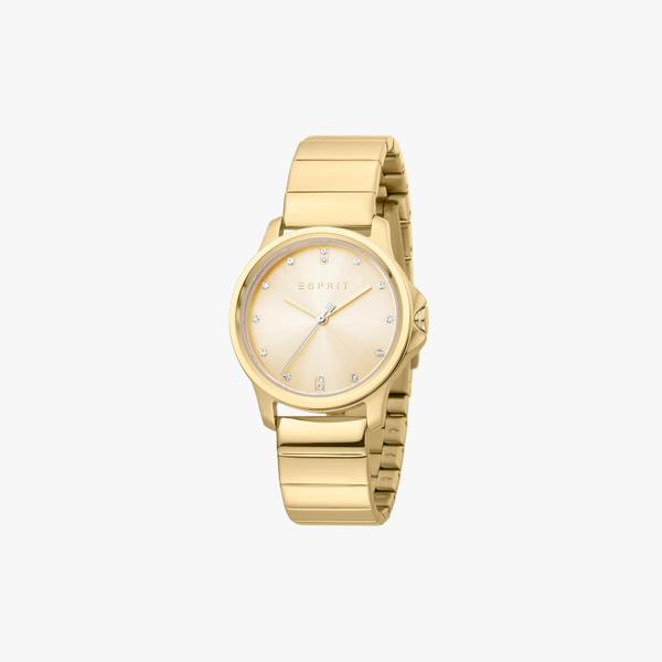Gold ES1L142M1055 Watch