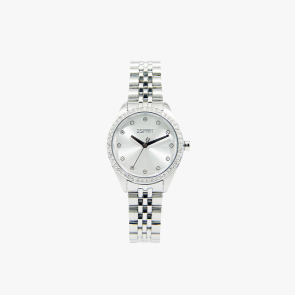 Aila Silver Watch ES1L279M0045